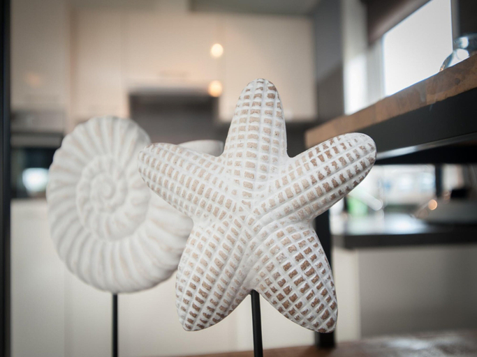 Interior detail, Cozy Beachside Base With Dual Terraces, Noordwijk