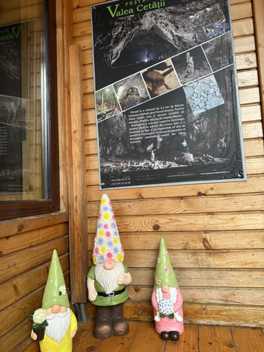Food & Drinks, PENSIUNEA VALEA CETATII, Rasnov