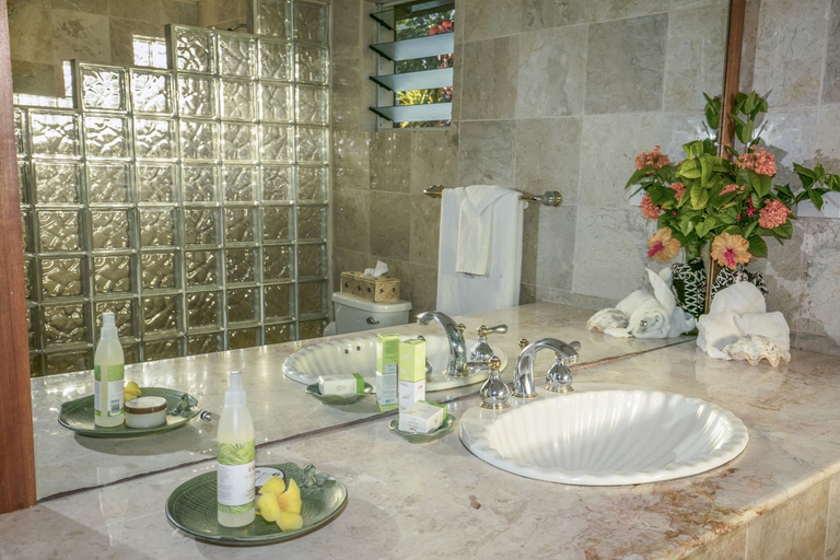 Bathroom 4, Beqa Lagoon Resort, Rewa