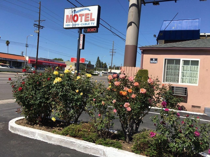 Others, CINEMA MOTEL, Los Angeles
