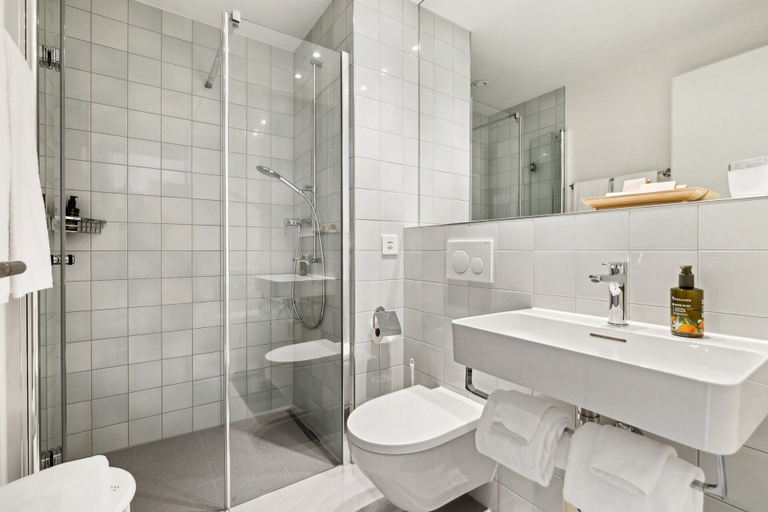 Bathroom 5, TOP HOTEL ODELYA Basel, Basel