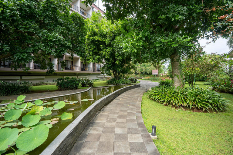 scenery 7