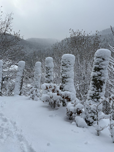 Others 4, Escargot de Neige, Vosges