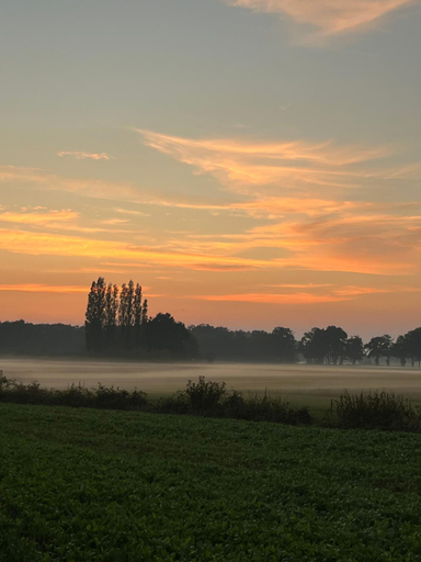 Others 4, Erve Zonnehoeve B&B en Wijngaard, Hengelo