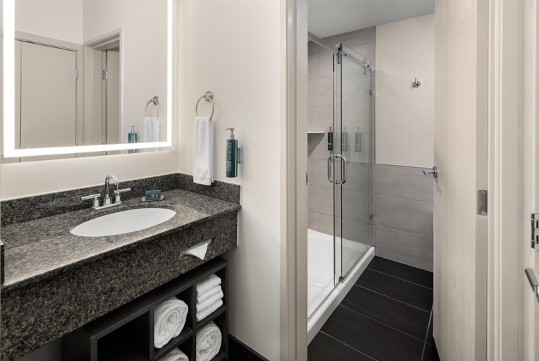Bathroom 5, Doubletree by Hilton Hotel Racine Harbourwalk, Racine