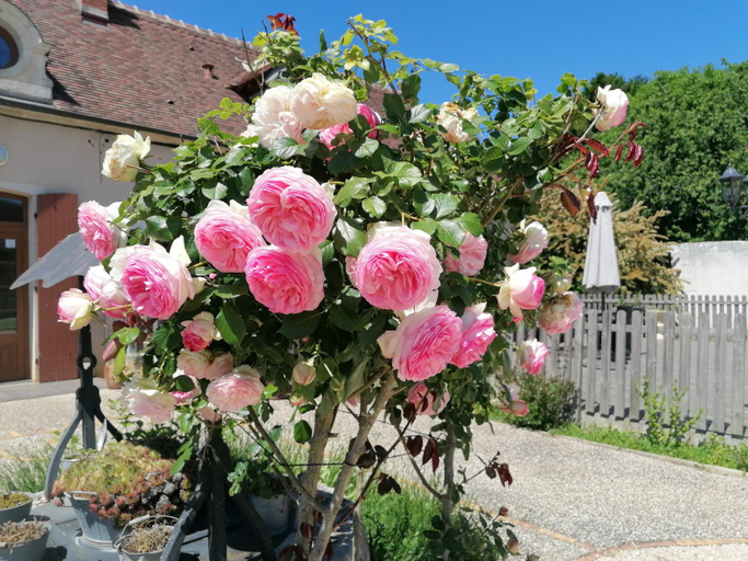 Exterior & Views 5, Le Domaine de Passy, Nièvre