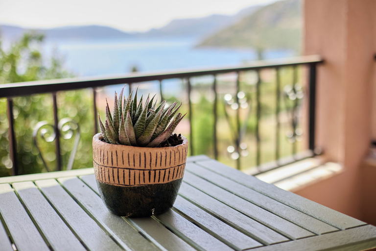 Property grounds 3, Niş Söğüt, Marmaris