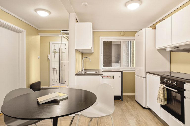Others 5, City Center Apartment, Bergen