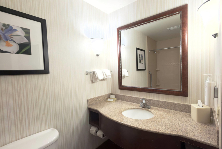 Bathroom 4, Wingate by Wyndham St. Paul/Oakdale/Woodbury, Washington