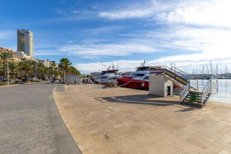 Interior 2, City and Beach by Fidalsa, Alicante