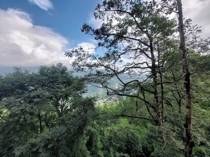 Others 4, Hotel Bella Casa, East Sikkim