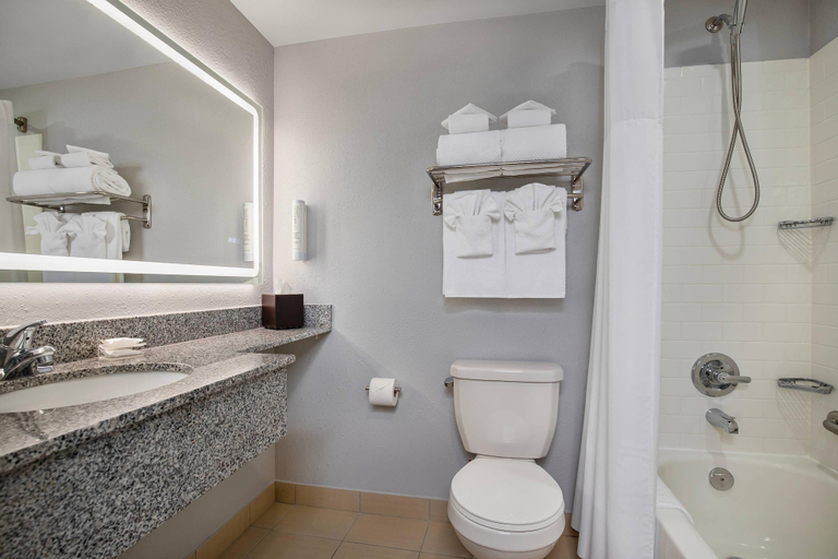 Bathroom 4, Clarion Pointe, Division No. 11