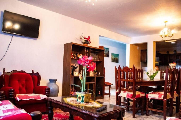 Food & Drinks, Villa Flores, Mascota