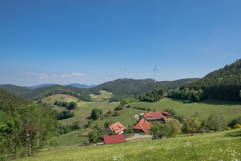 Others 4, Prinzbachhof, Ortenaukreis