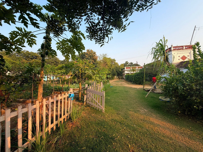 Property grounds 3, My Mom's Village, Basti