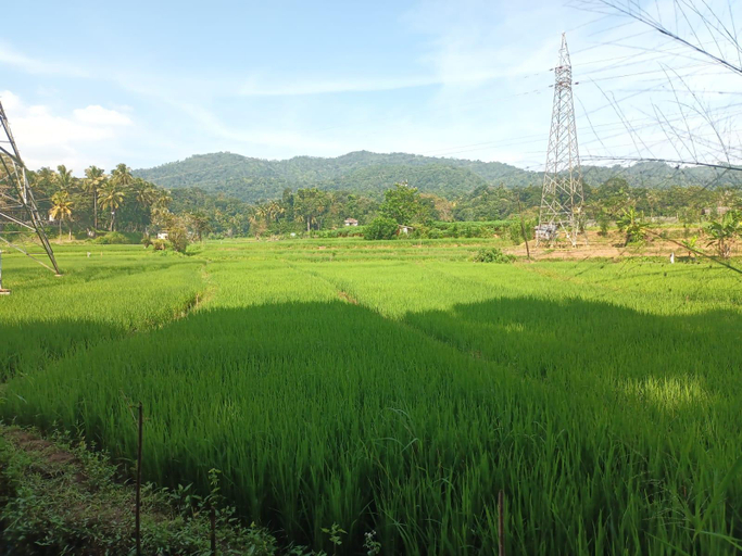 Others 4, CIRCLE EDGE RESORT, Pathadumbara