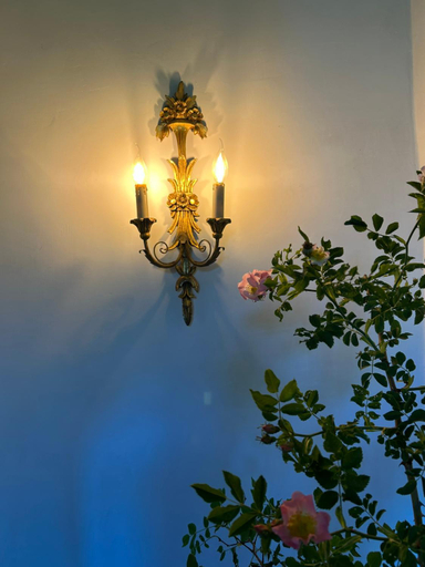 Others 4, Chateau de La Tour en Brenne, Indre