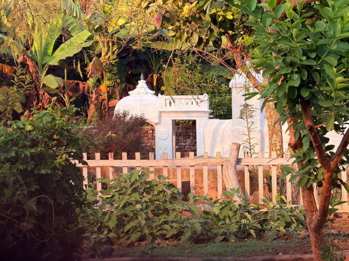 Property grounds 4, My Mom's Village, Basti