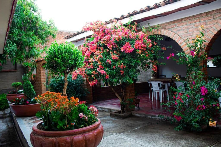 Exterior & Views 2, Villa Flores, Mascota