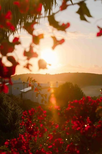 2, Entire Ocean view beach villa - Onelifelodge, Vila do Bispo