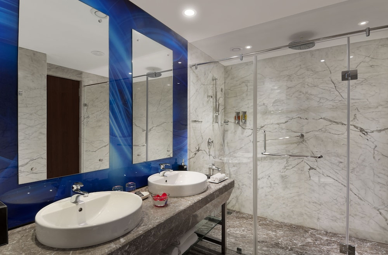 Bathroom 4, The Elanza Hotel, Bangalore