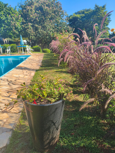 Sport & Beauty 3, POUSADA Chacara ENTRE NOS, Holambra