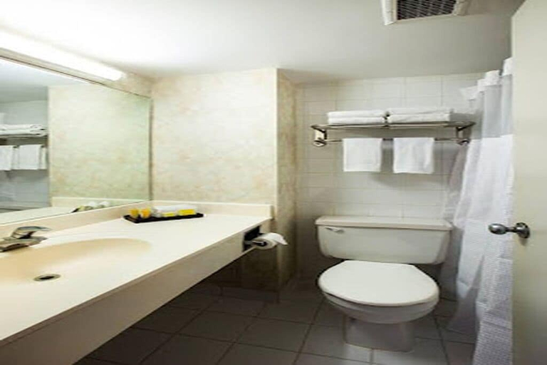Bathroom, Chestnut Residence & Suites, Toronto