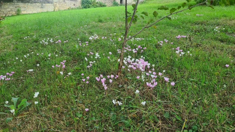 Others 3, Castel Saint Laurent, Indre-et-Loire