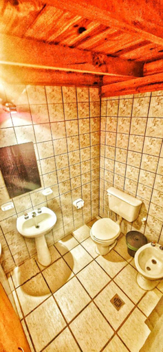 Bathroom 3, Glamping Vulcanche, Los Lagos