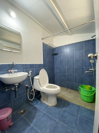 Bathroom 3, I - India, The Nilgiris