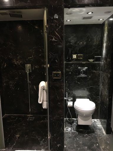 Bathroom 4, Radisson Blu Hotel MBD Ludhiana, Ludhiana
