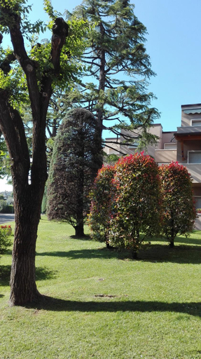 Others 4, La Madonnina Vacation Flats, Verona
