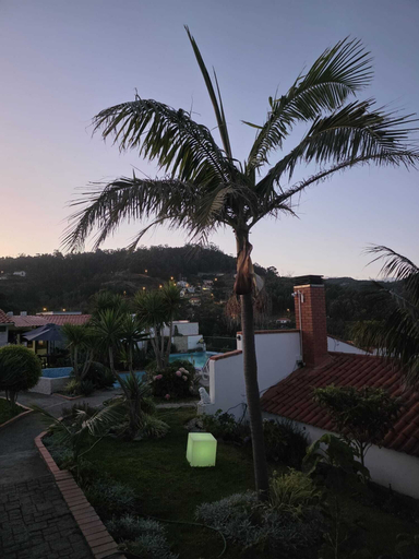 Exterior 4, INN MOUNTAIN COUNTRY HOUSE, Santa Cruz