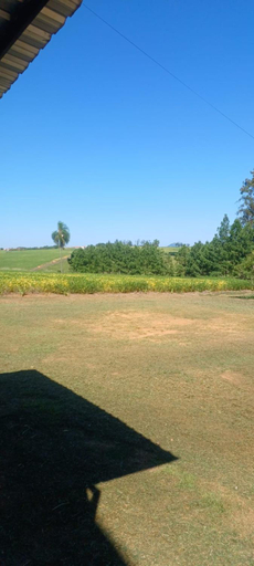 Others 4, Hotel Green Park Jaboti, Jabuti