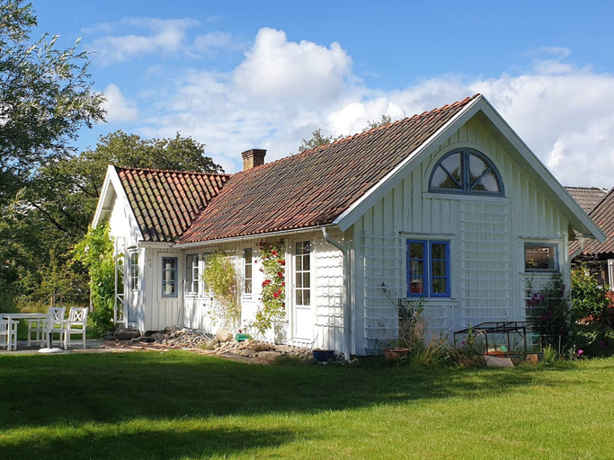 Primary image