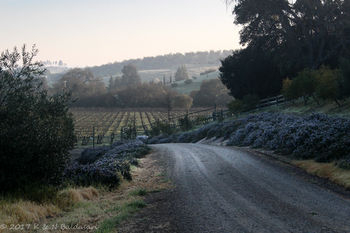 Others 4, The Eden House Vineyard & Inn, San Luis Obispo
