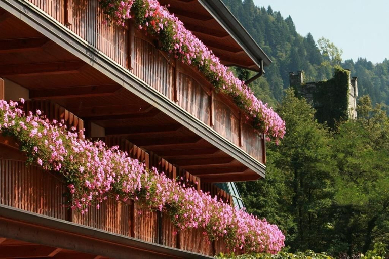 Others 3, Hotel Centro Benessere Gardel, Udine