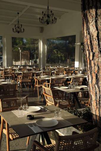 Food & Drinks 4, Pine View Boutique Hotel Adults Only