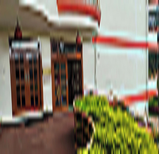 Exterior detail, NEW CARNIVAL, Dindigul