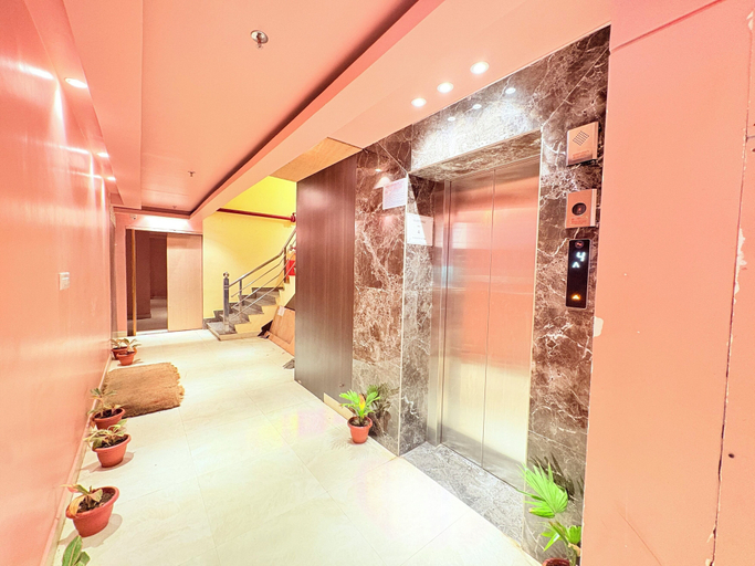 Interior 3, Olive turtle Near Sea Beach, Puri