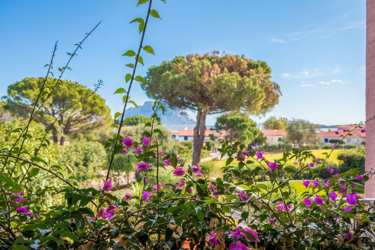Others 3, Piazzetta Casa Paola 200m From The Sea, Olbia-Tempio