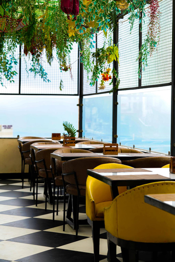 Food & Drinks 4, The Novello by Hotel Evergreen, Dehradun