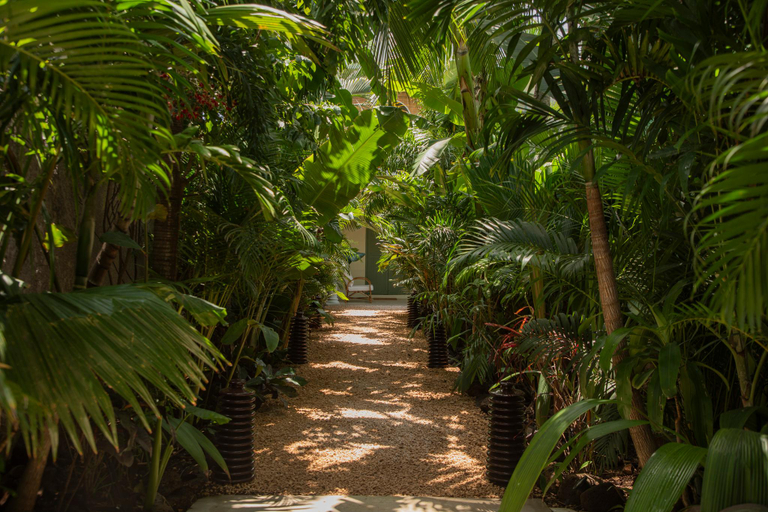 5, Maison Tropical, Black River