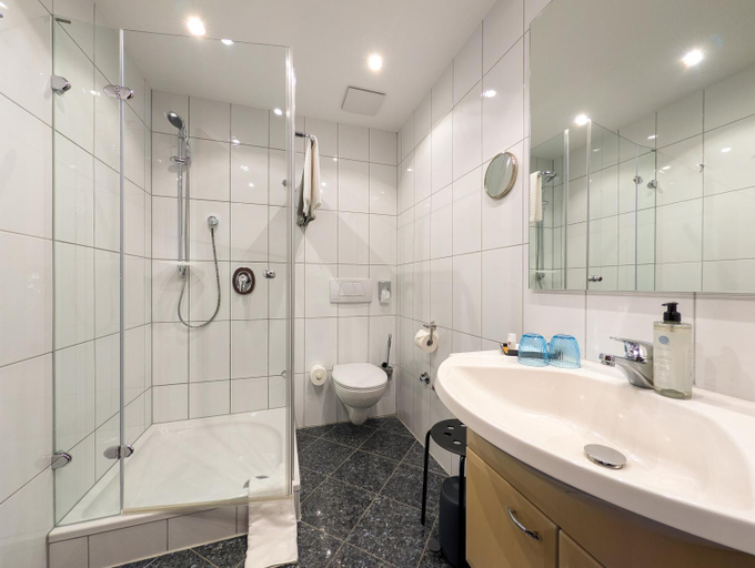 Bathroom 4, Felshof - Weingut & Gastehaus, Würzburg