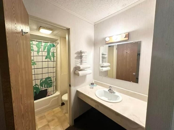 Bathroom 4, Kiteville Phoenixville, Chester