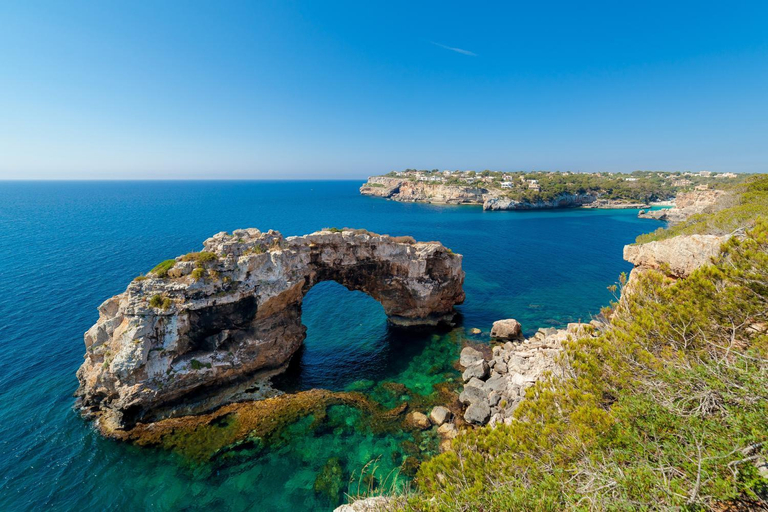 Others 5, Ca Ses Mestres, Baleares