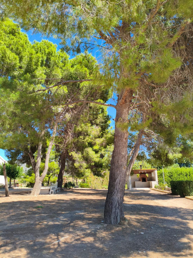 Exterior & Views 1, Casa Rural "La villa del pistacho", Murcia