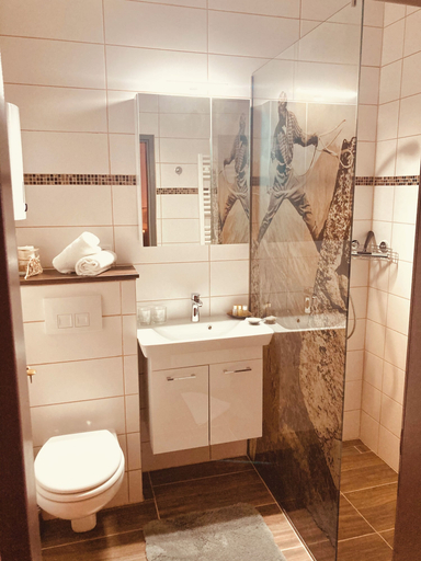 Bathroom 4, Apartment Hallstatt Dachstein Inn, Gmunden