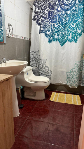 Bathroom 4, Hostal Temuco, Cautín