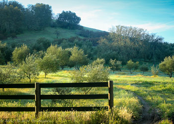 Others 5, The Eden House Vineyard & Inn, San Luis Obispo